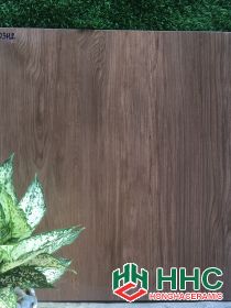 GẠCH LÁT NỀN 60X60  603
